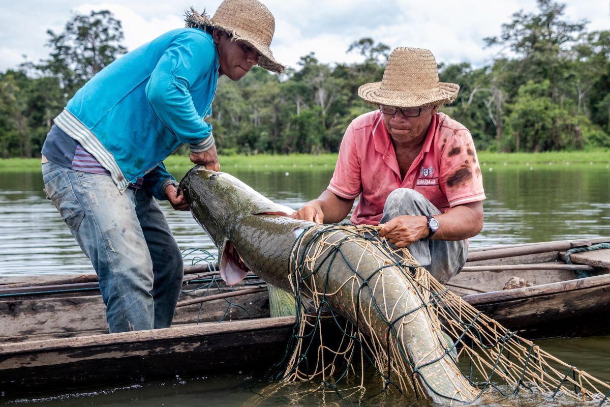 Em 2020, pandemia impactou atividades de pesca na Amazônia 