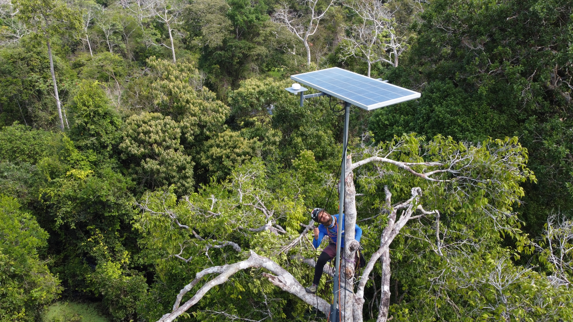 Projeto Providence vai para a final de prêmio internacional de conservação da biodiversidade de florestas tropicais, o XPRIZE