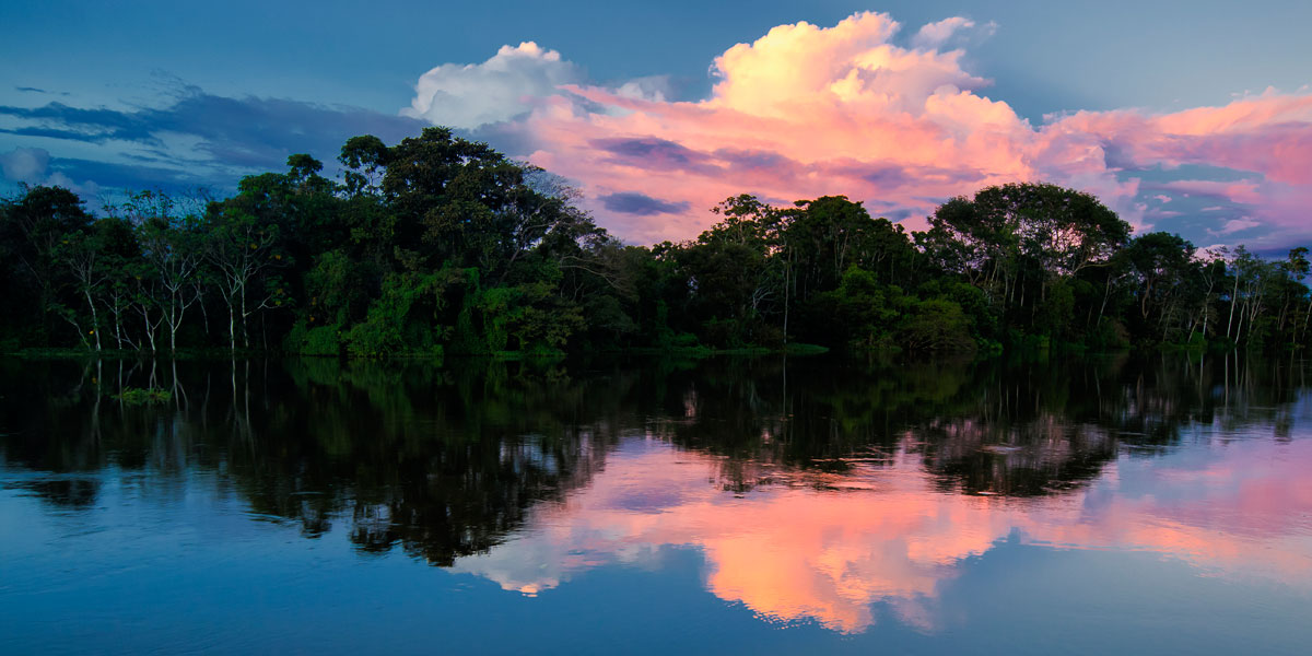  Galeria de fotos: â€˜A Vida na Amazôniaâ€™