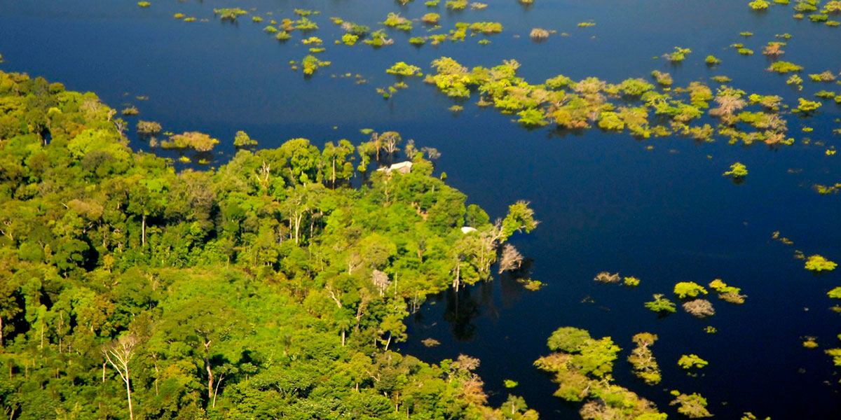 Pesquisa investiga como acontecem emissões de metano em florestas alagáveis da Amazônia