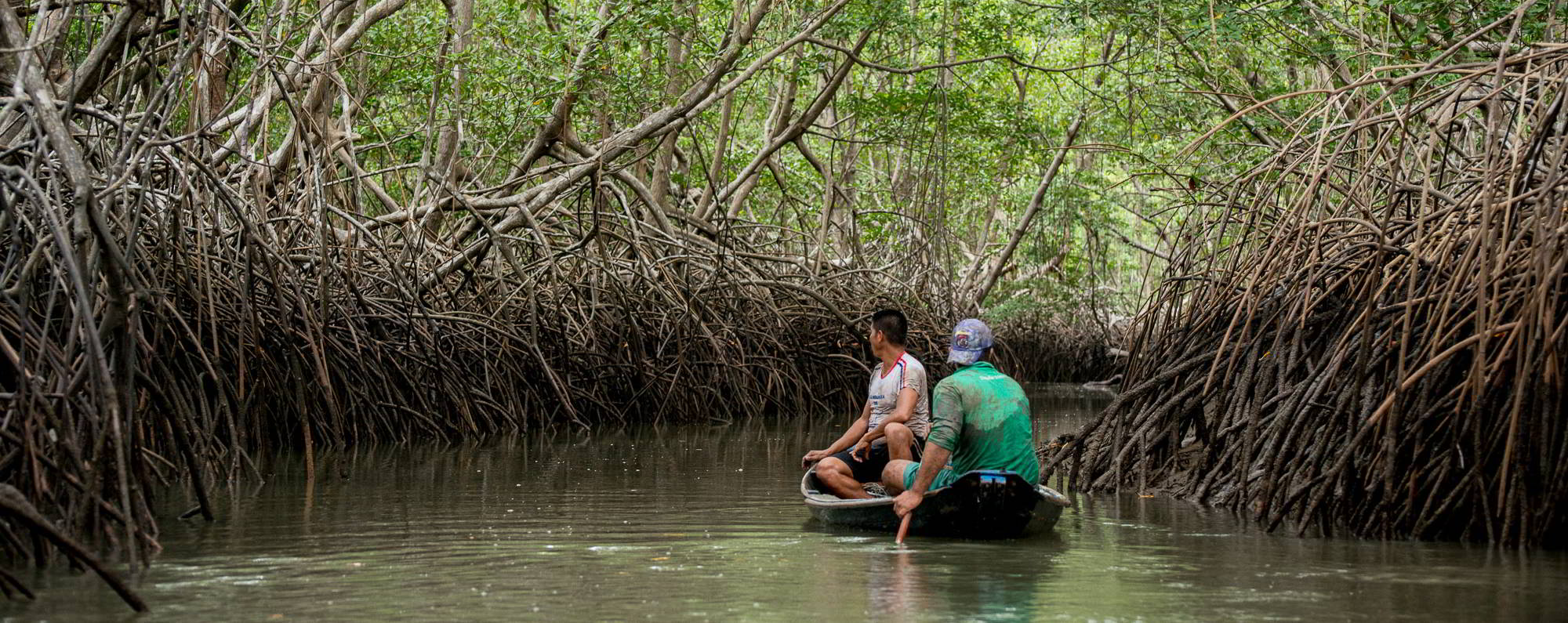 Curso de manejo de caranguejo reforça a importância de áreas protegidas na Amazônia
