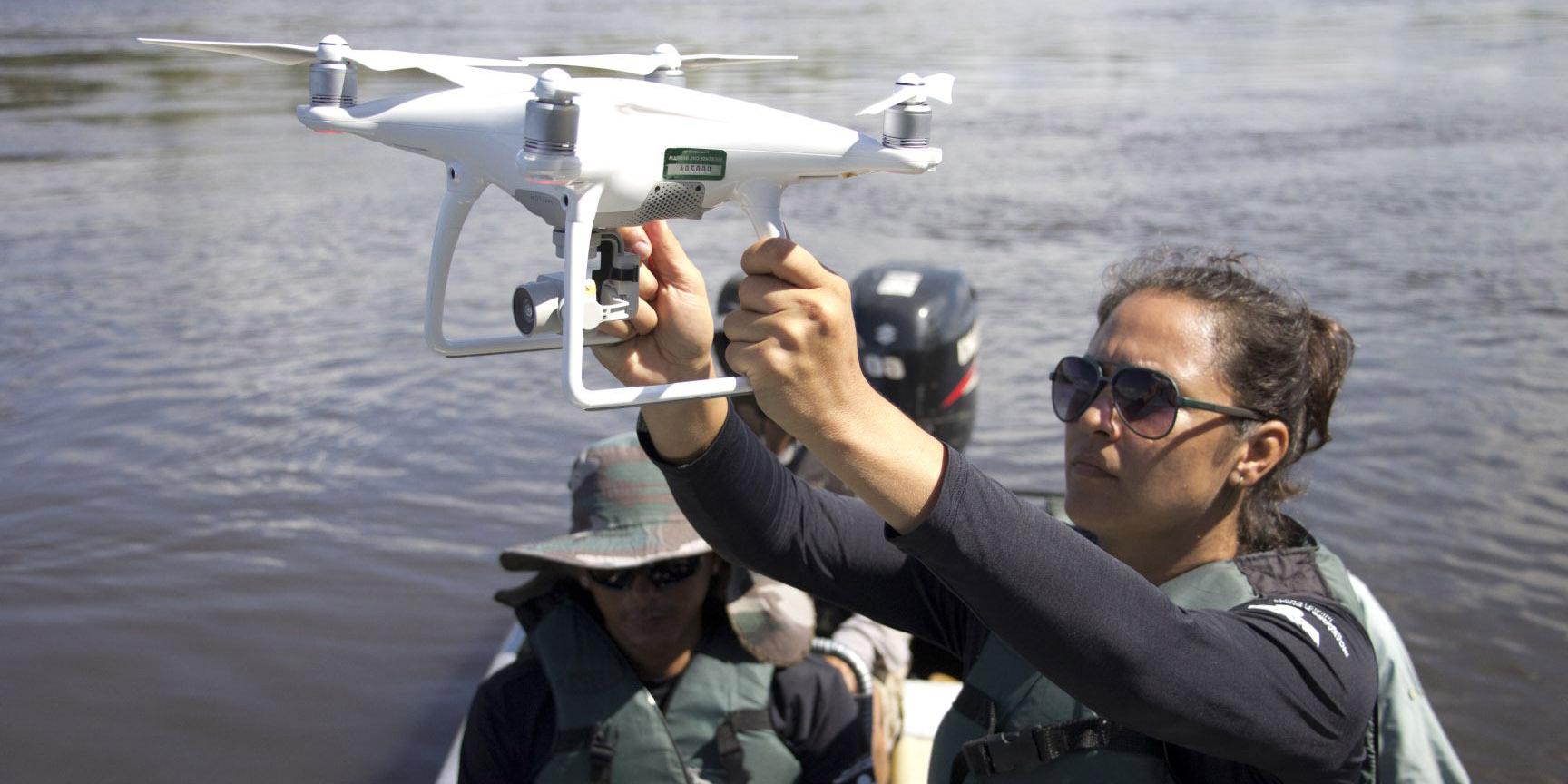 Drones são mais precisos no monitoramento de botos em rios estreitos da Amazônia, mostra estudo