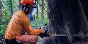 D4ec3f398b17881855c5c1504cdd6d70 300x150