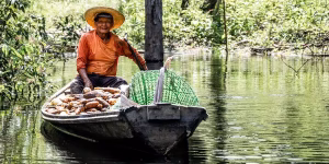 0638493d4604c7419379850391f224e2 300x150