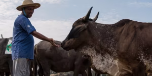 4364a9aca6373424c4d886641e97d25a 300x150