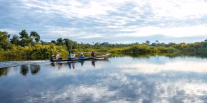 E9c923c6cf7a9f0355b593c3fa1f402b 300x150