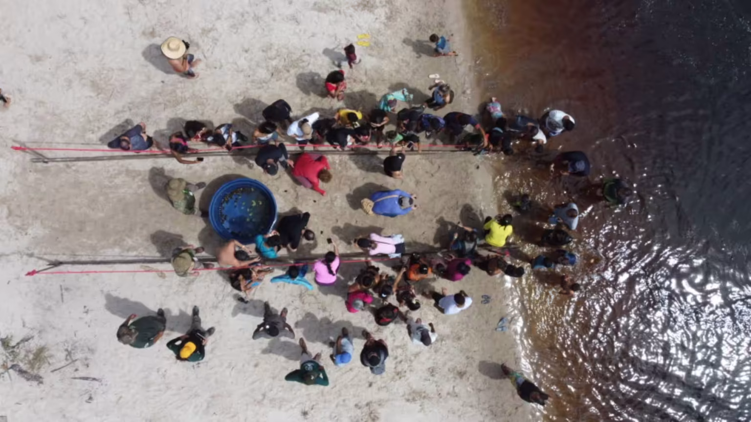 Vista aérea de pessoas reunidas em uma praia à beira do rio