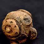 Grupos 06b16bd8bde07f66077ea6631c0b624c