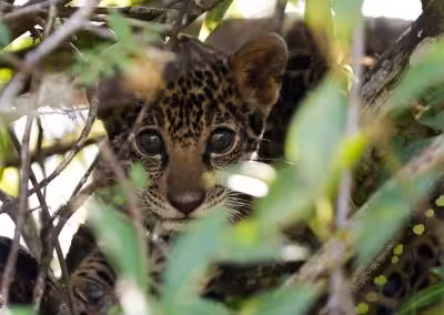 Programa de Turismo de Base Comunitária 0f63f5cdc058e027762d556c854ccbe4 400x284