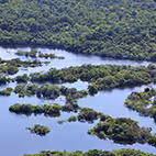 Grupos 23211dc28184f47de54aa2c65f0ce1dd