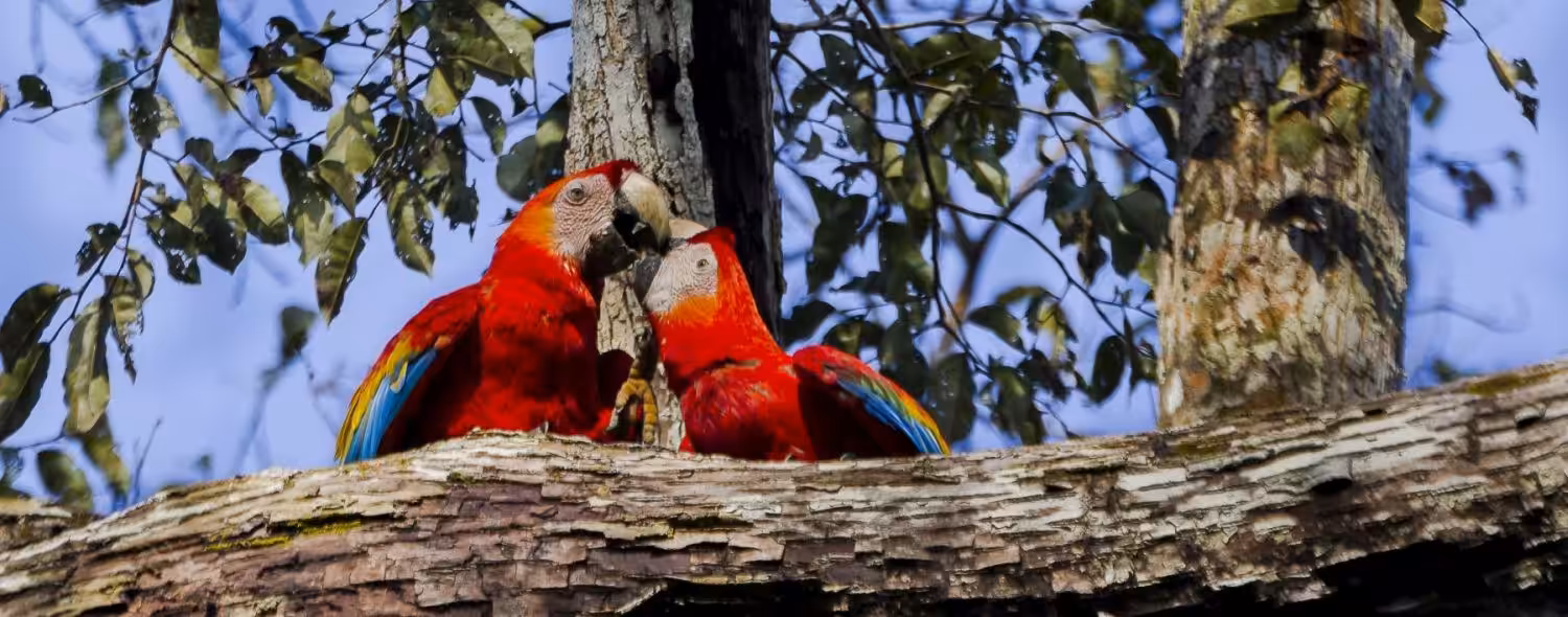 Grupos 242f3f62d296d2694b8c7be42d7ab602