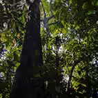 Grupos 37250208a43b6677b93c9a0ad373591c