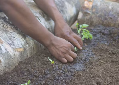 5cf2510ea9c94ef6b815e8b5bcd0d553 1 400x284