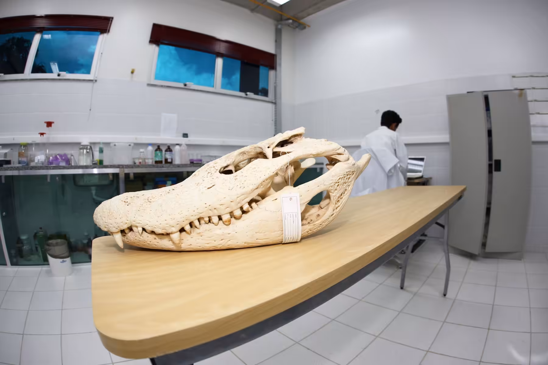 Acervos e coleções A76bcf26d53fae5ad838ff92d7784cbe