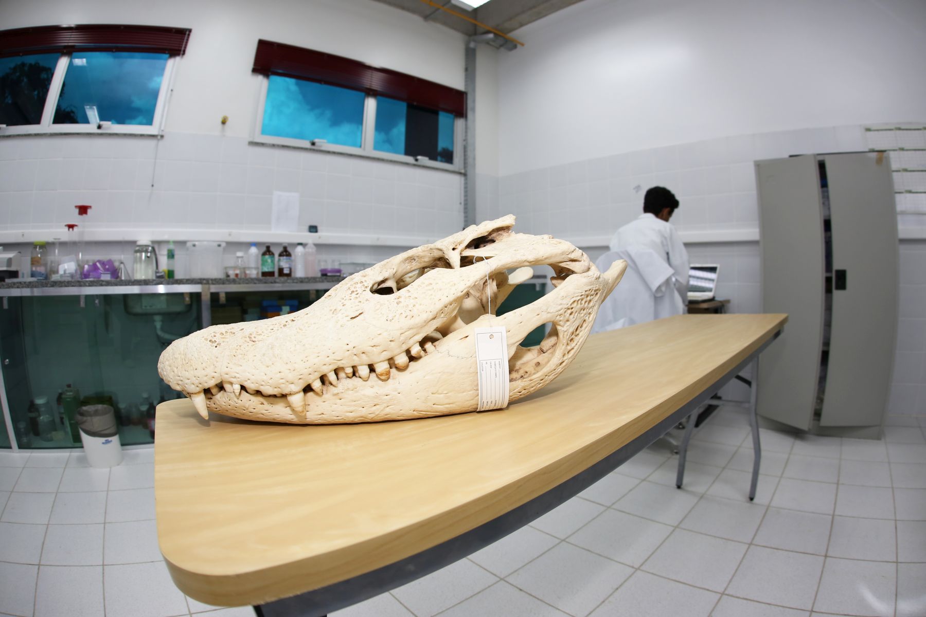 A76bcf26d53fae5ad838ff92d7784cbe