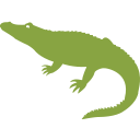 Sistemas de Rastreamento Alligator