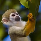 Grupos Ba93576a0327545ae2948bd0df4ebf12