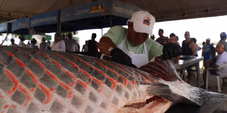 Programa de Manejo de Pesca do Instituto Mamirauá
