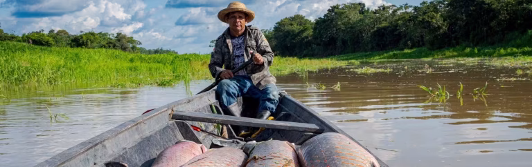 Programa de Manejo de Pesca do Instituto Mamirauá