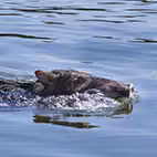 Grupos F6c24a8f481b30d1f24e803d728e5a7c