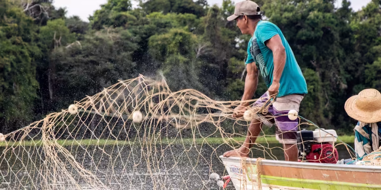 Programa de Manejo de Pesca do Instituto Mamirauá