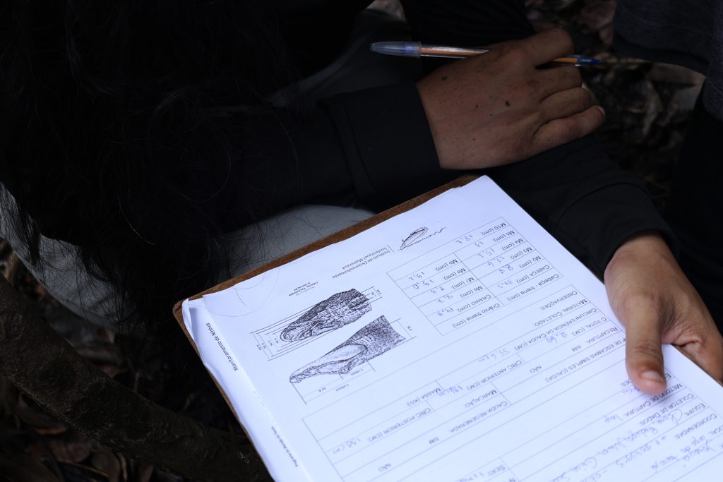 4ª edição do Curso de Multiplicadores em Manejo Comunitário de Jacarés fortalece as estratégias participativas de conservação da biodiversidade internac 11 12