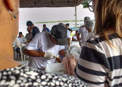 73843179a7681a927280774803a24071