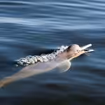 screenshot screenshot