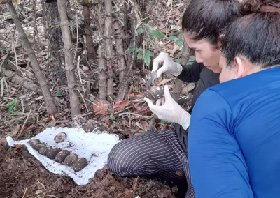 ad7ce1622a0366f7cddfd79a5cb516dd