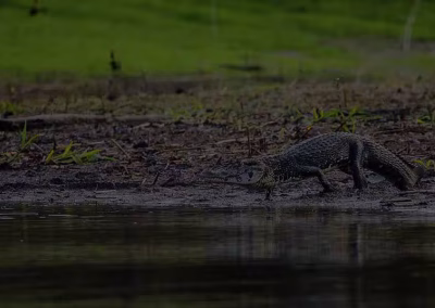 c4978e3626933fe1c9b2da983af7d077 1