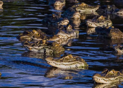 e8763329665912c82dc7788935439f44