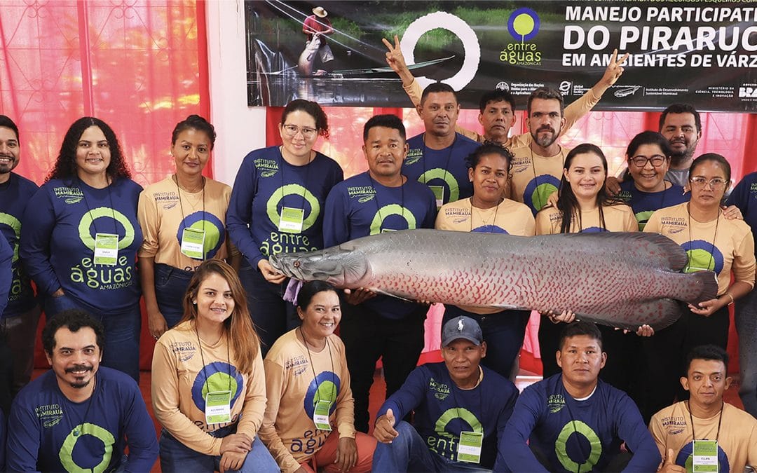 Turismo comunitário e manejo do pirarucu: projeto busca aumento de renda de comunidades ribeirinhas do Amazonas