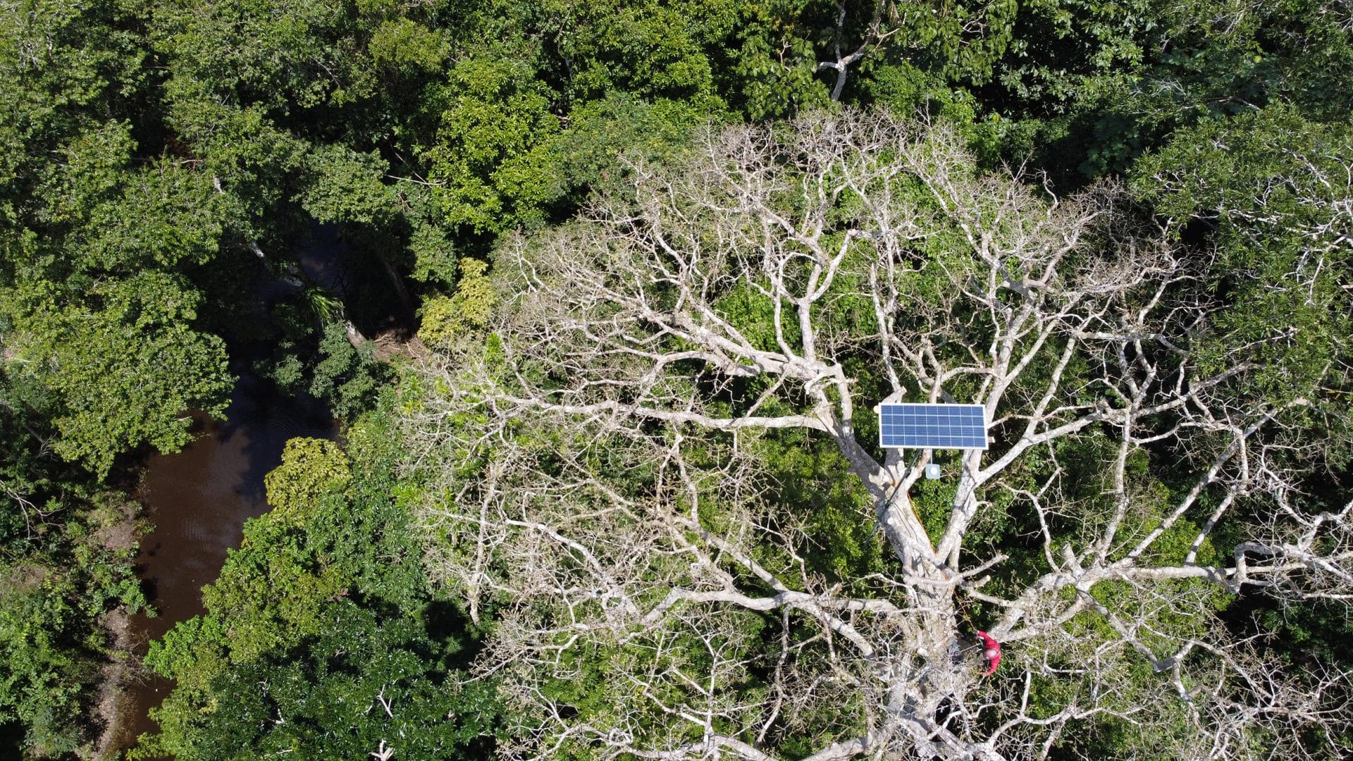 dcim100mediadji 0346.jpg