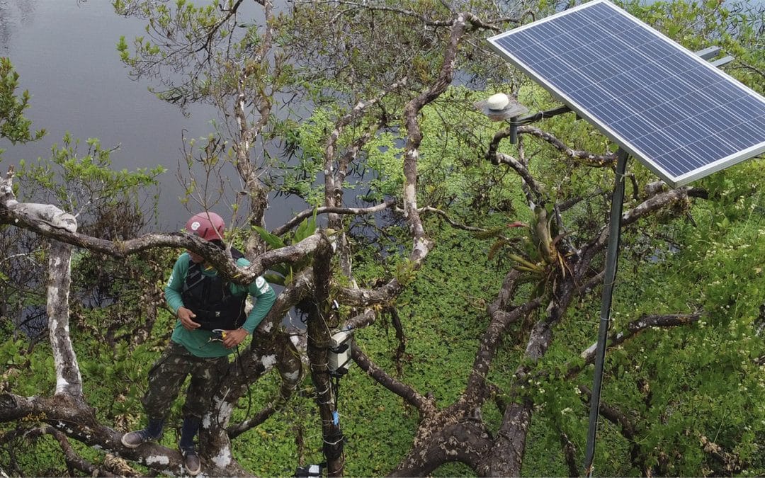 Uma Década de Cooperação Científica Internacional para Monitorar a Biodiversidade na Amazônia
