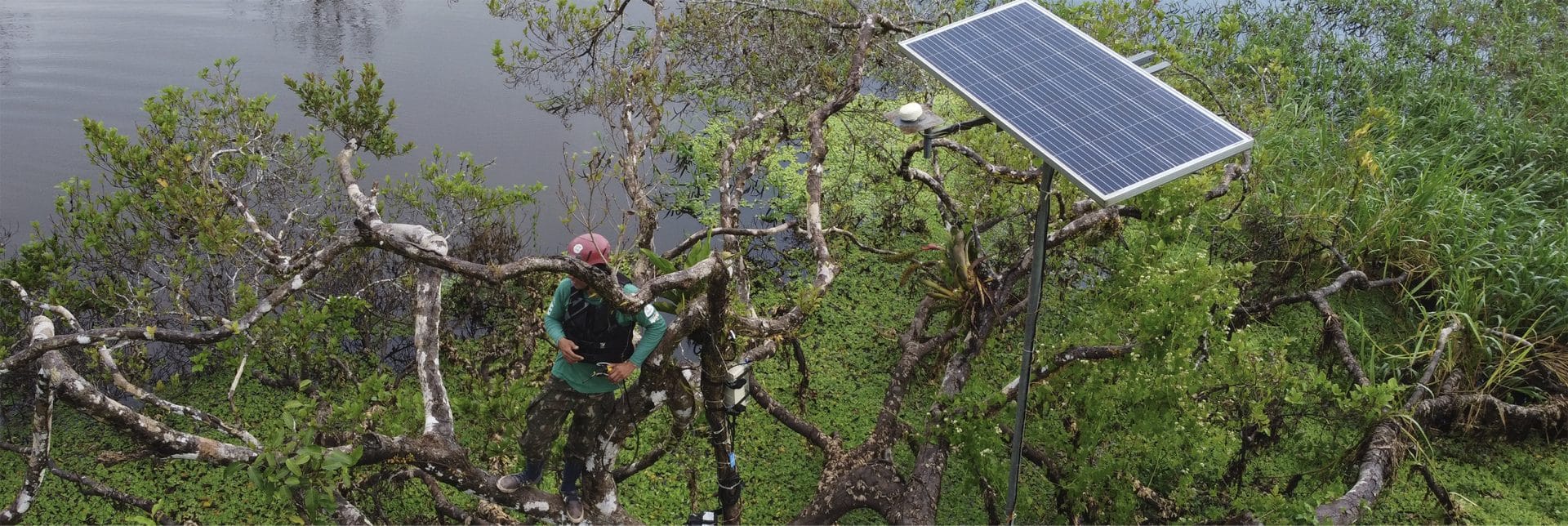 Uma Década de Cooperação Científica Internacional para Monitorar a Biodiversidade na Amazônia