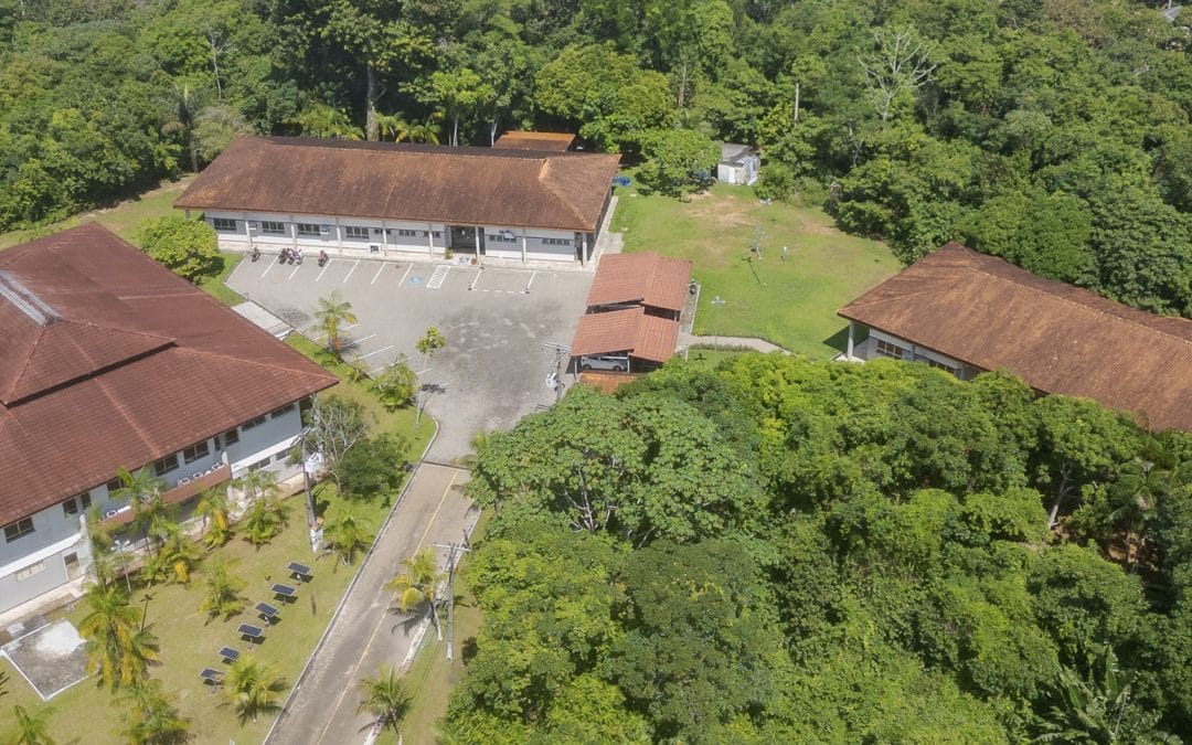 Instituto Mamirauá celebra 27 anos de atuação pela ciência e sustentabilidade na Amazônia 