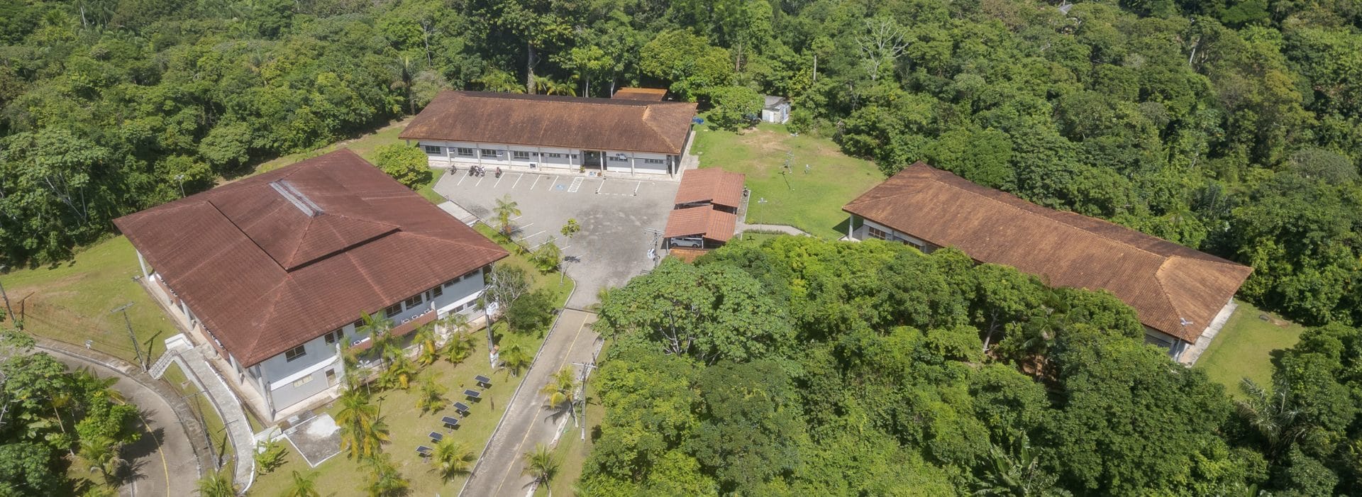 Instituto Mamirauá celebra 27 anos de atuação pela ciência e sustentabilidade na Amazônia 