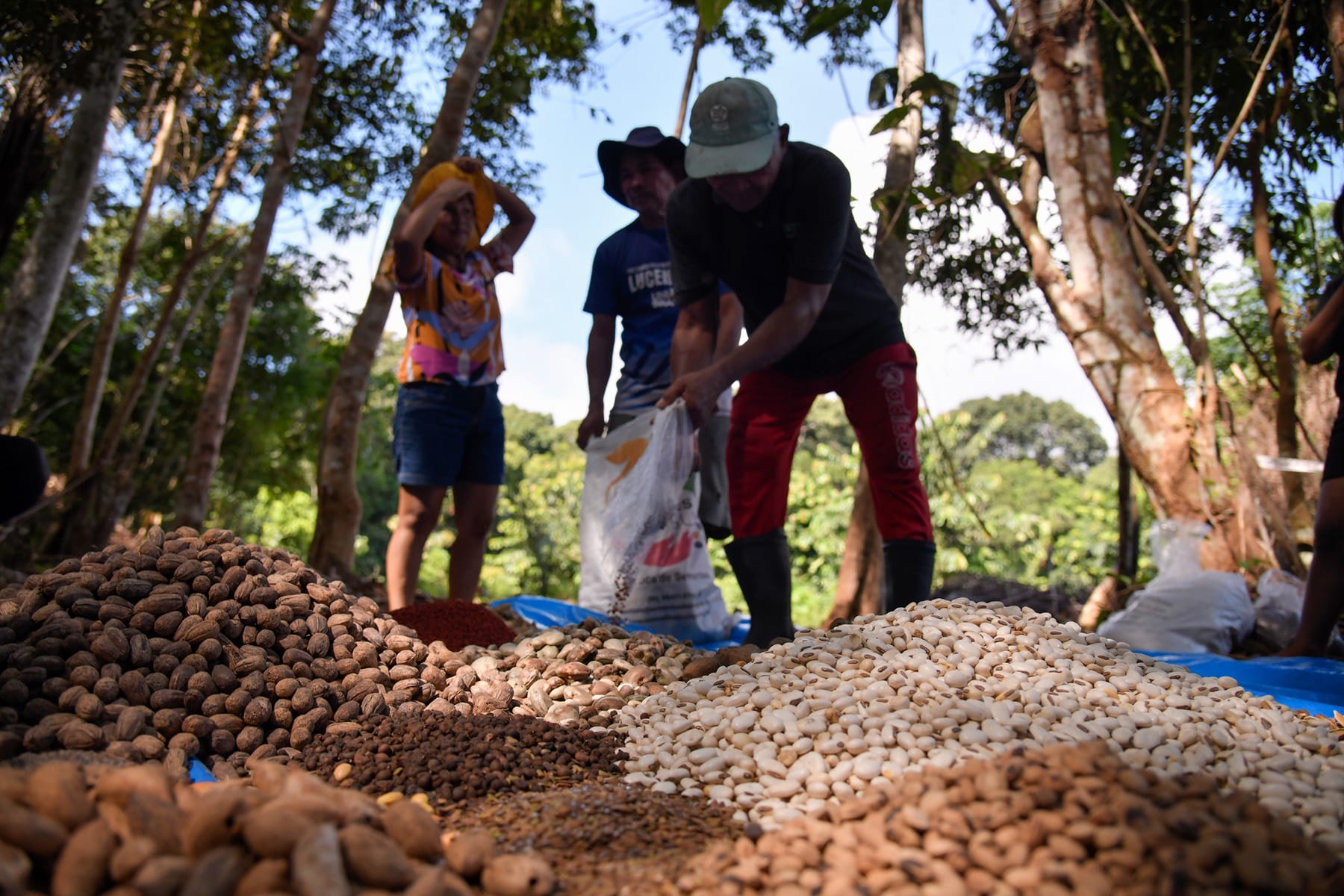 whatsapp image 2026 04 27 at 18.26.35 5