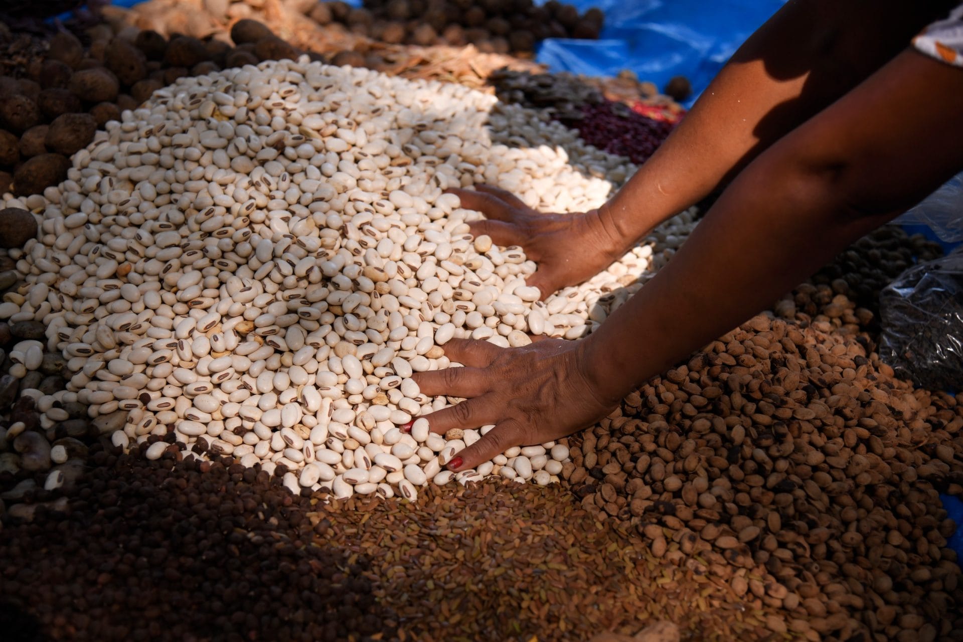 whatsapp image 2026 04 27 at 18.26.35 6