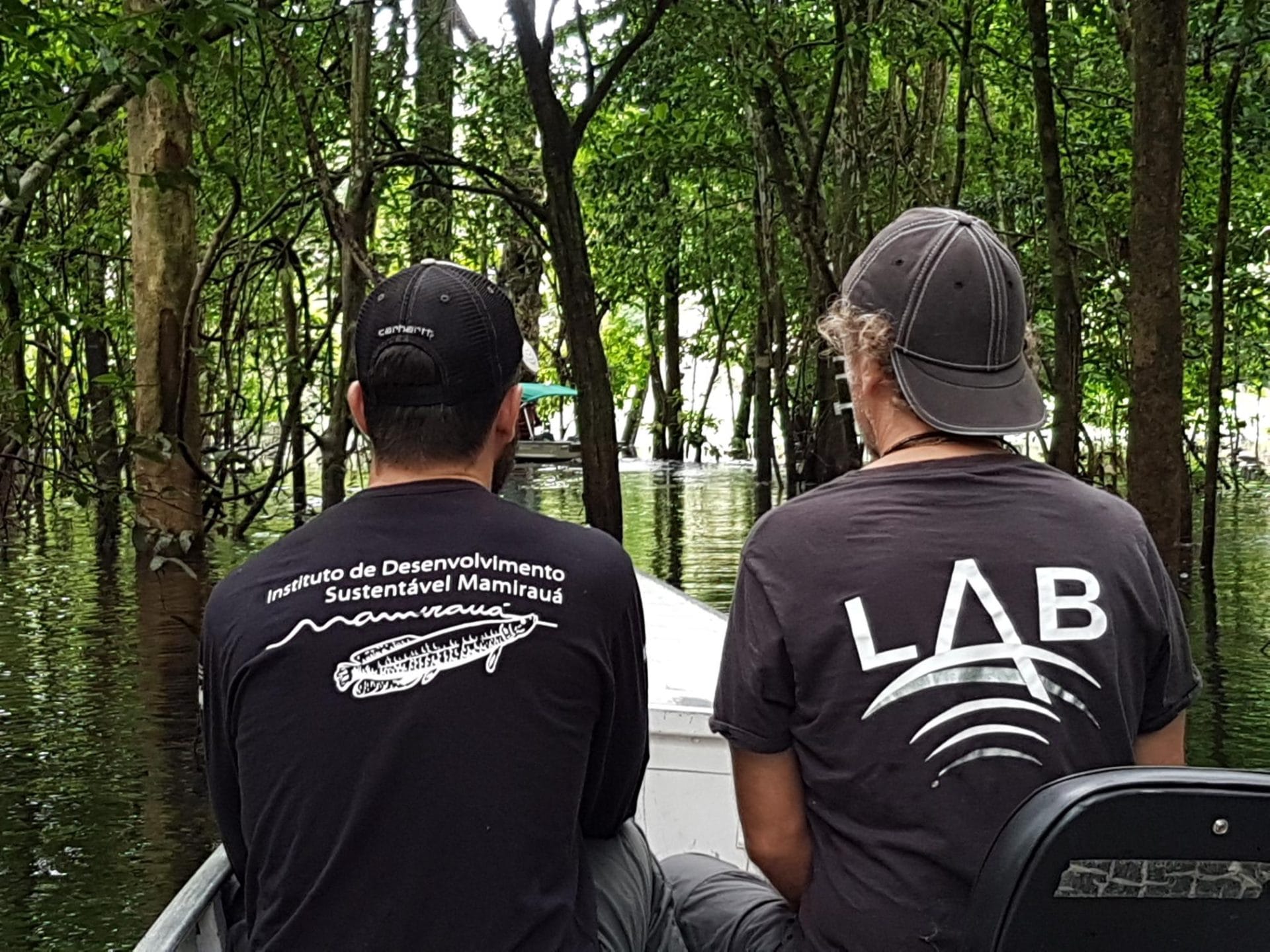 shared image (1).jpg