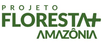 projeto floresta amazônia