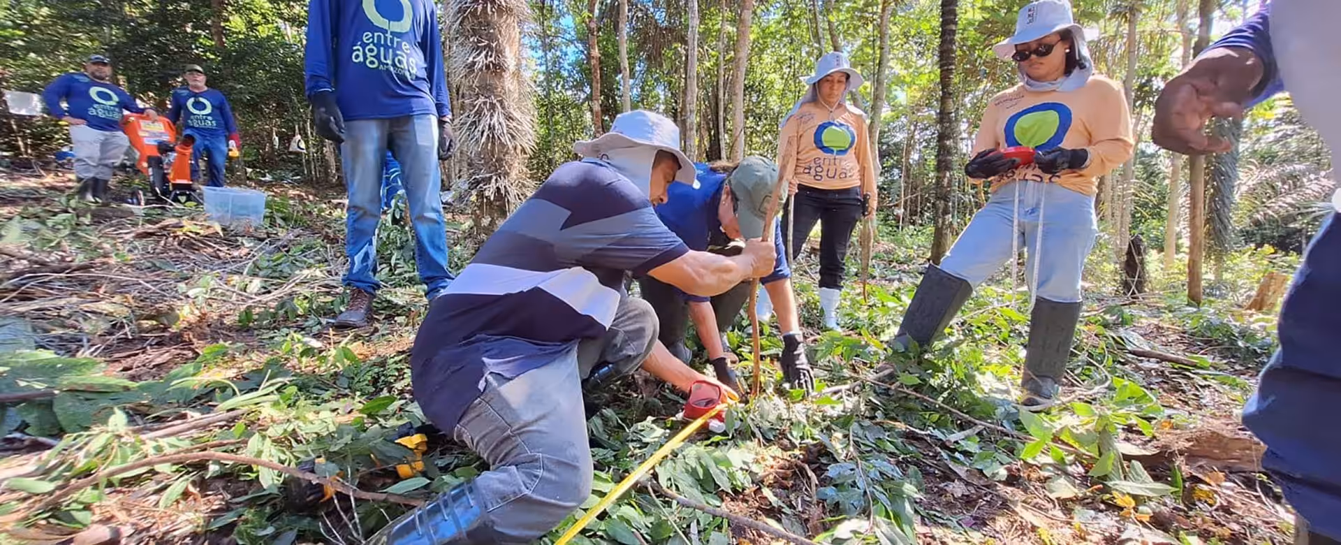 Instituto Mamirauá realiza curso de multiplicadores em sistemas agroflorestais sem uso do fogo para técnicos da região de Tefé