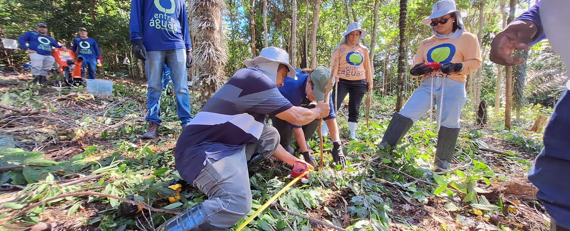 Instituto Mamirauá realiza curso de multiplicadores em sistemas agroflorestais sem uso do fogo para técnicos da região de Tefé