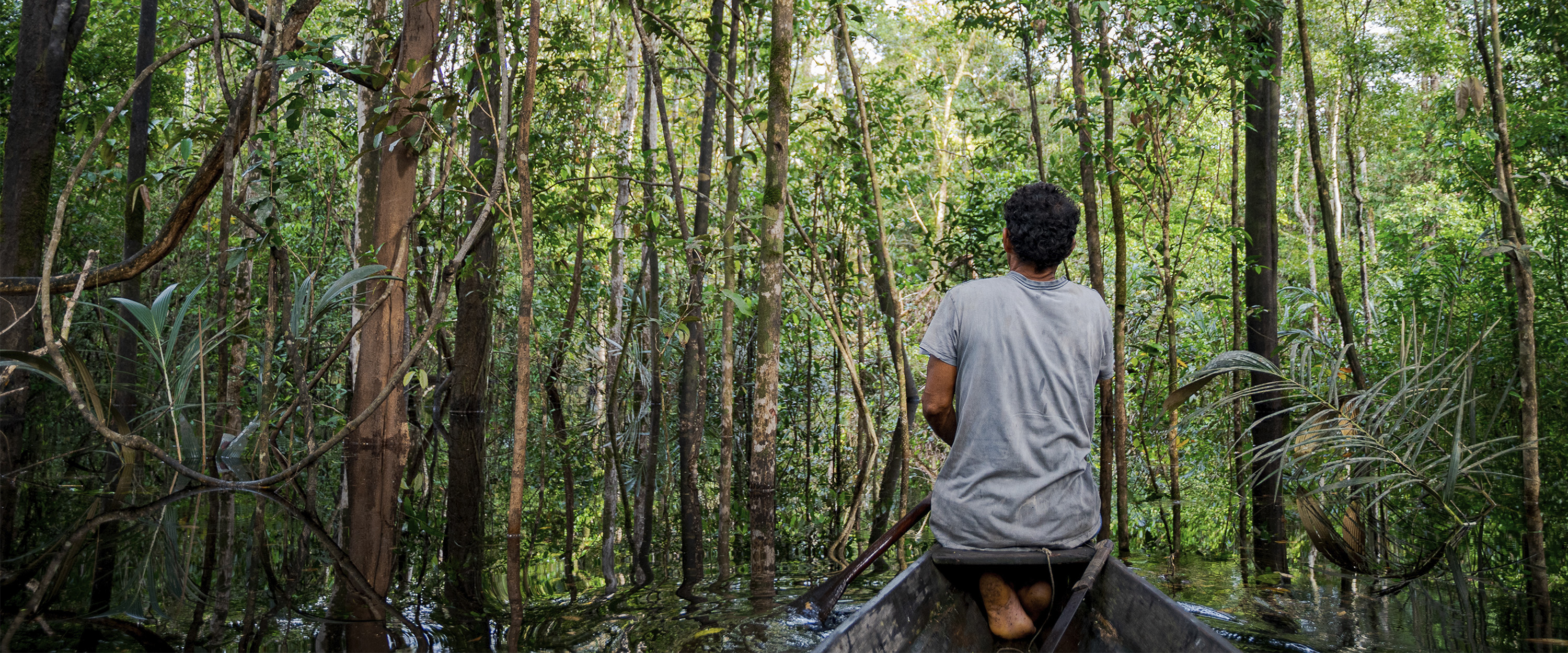 Pescador em área alagada — Instituto Mamirauá