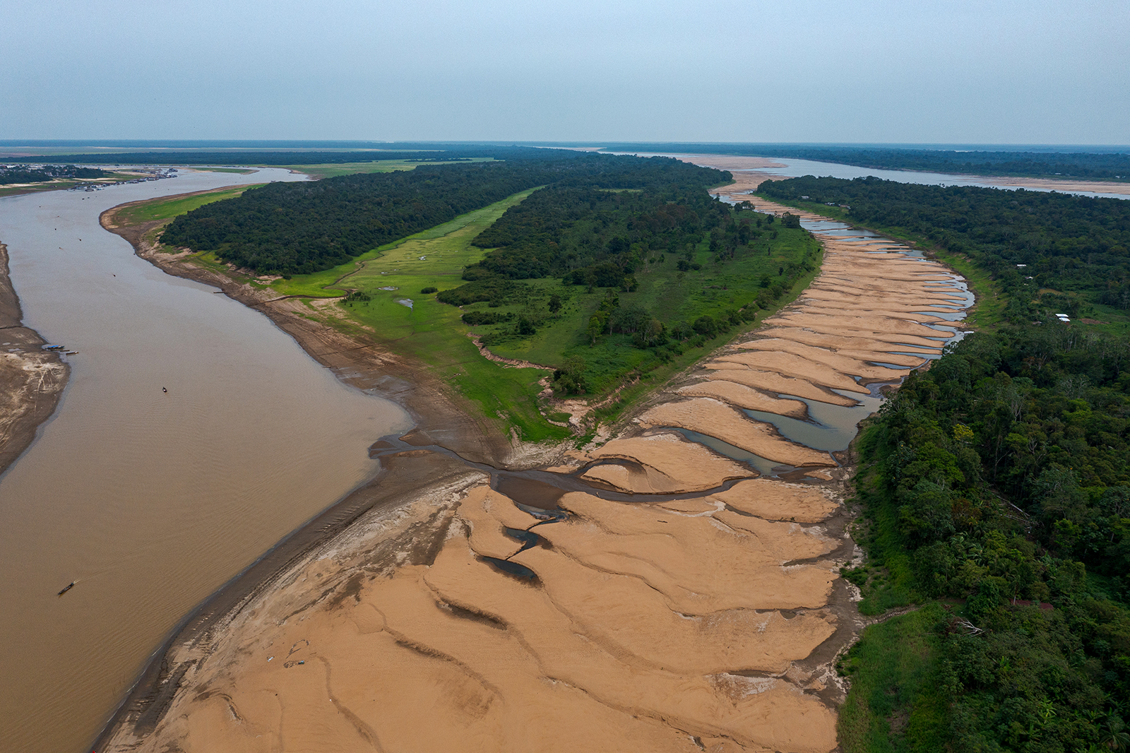 Com avanço da estiagem no Amazonas, Instituto Mamirauá propõe 41 medidas para reduzir impactos sobre a população ribeirinha e a biodiversidade miguel monteiro (8)